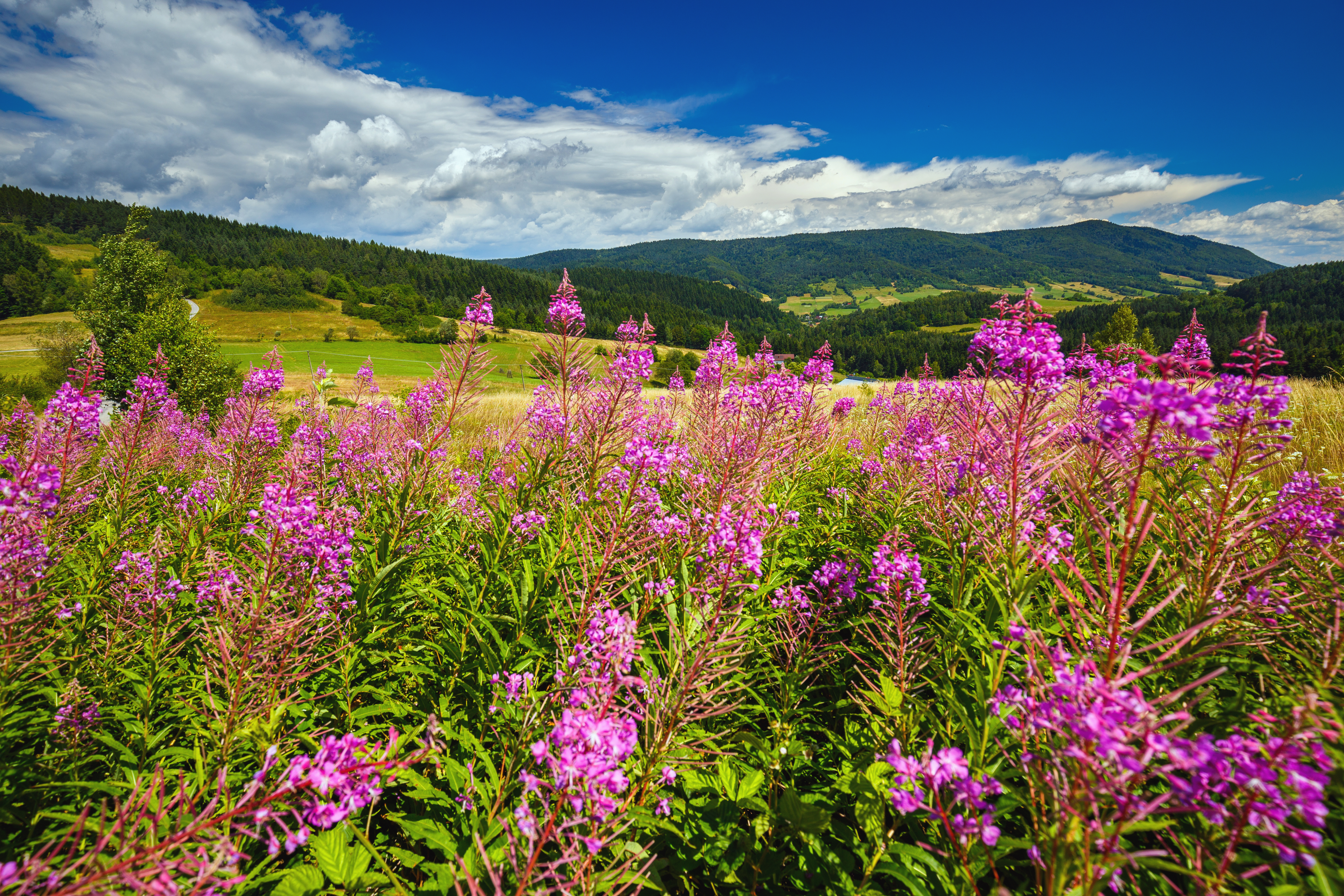 Beskidy