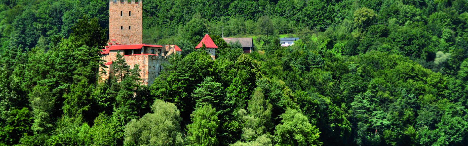 Zamek Tropsztyn Jezioro Czchowskie Wytrzyszczka