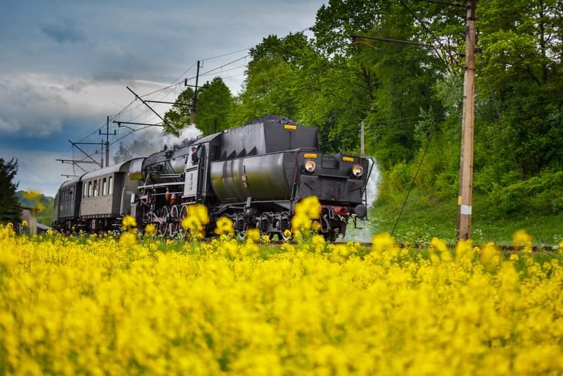 Zabytkowy pociąg zwany parowozem, który jedzie po torach. Poniżej kwitnący rzepak.