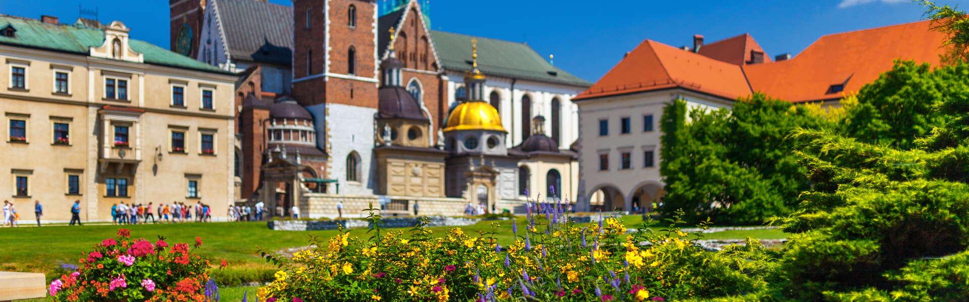 Widok na Kopec Kraka, obok kwitnące drzewo.