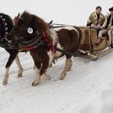 Obrazek: Parada Gazdowska – kumoterki i inne zimowe atrakcje