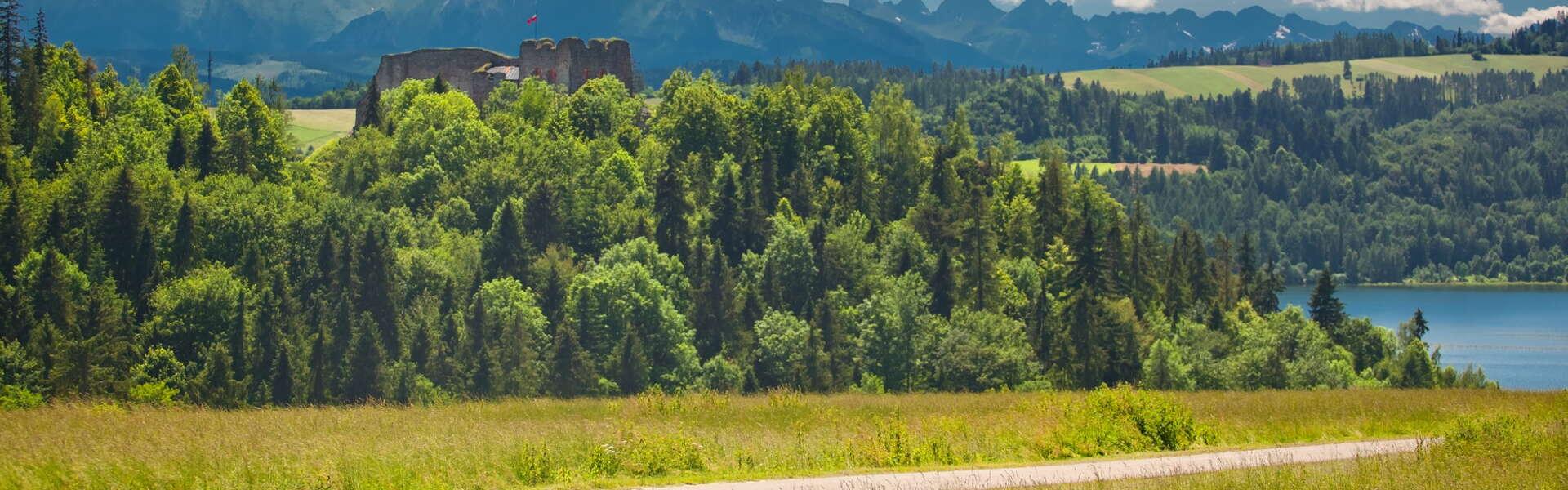 Fragment trasy rowerowej VeloDunajec z widokiem na góry i zamek.