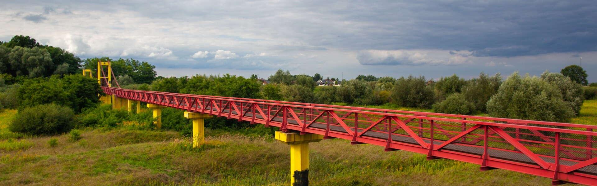 Fragment VeloMetropolis - kładka rowerowa nad mokradłami